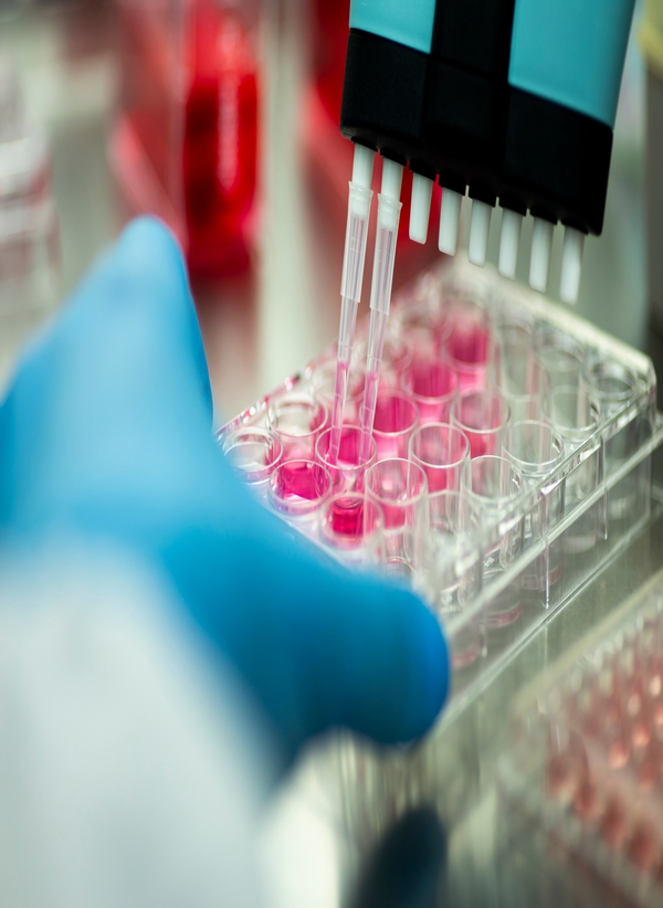 Genetik Tarama Paketi