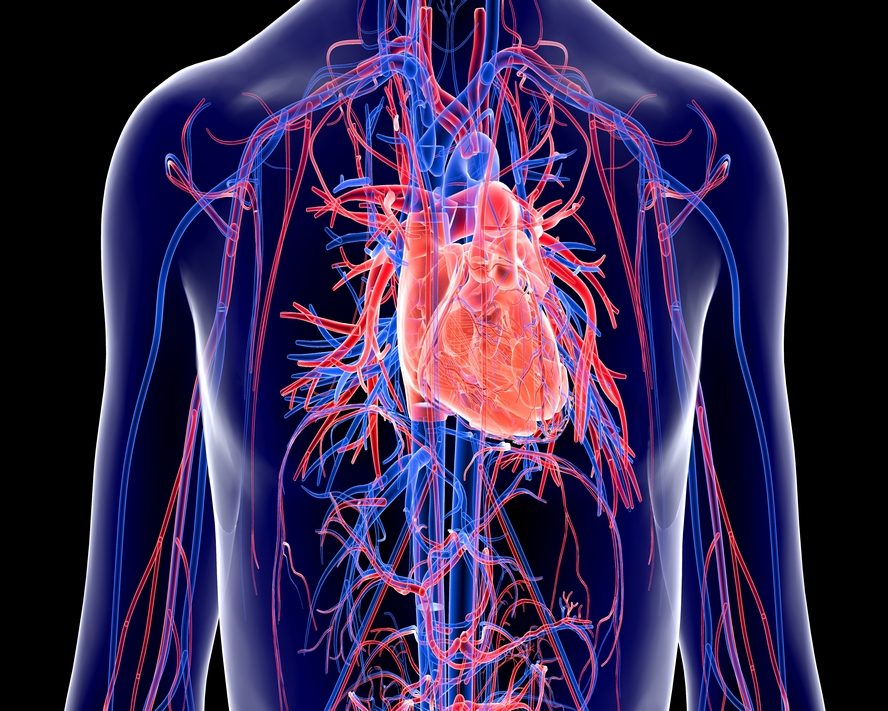 Abdominal AORT Anevrizması Hastalığı Dikkat Çekiyor!