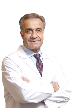 PROF.DR. MEHMET TINAZ